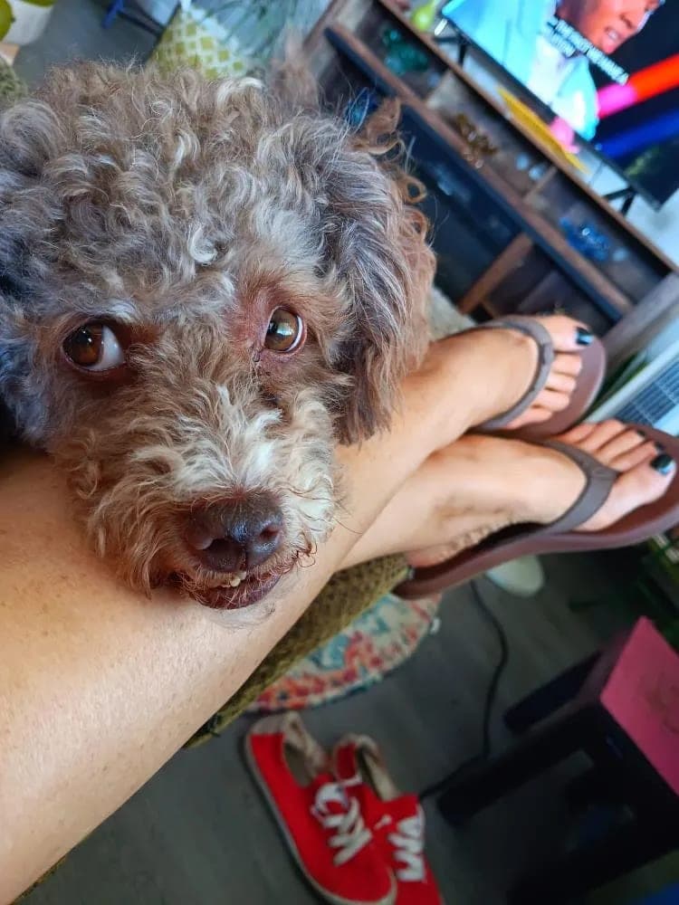 Mocha photo 2