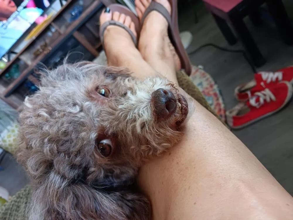 Mocha photo 4
