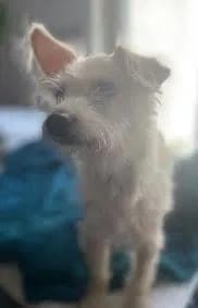 Muppet photo 3